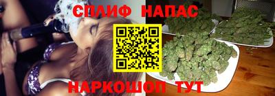 прущие грибы Лесосибирск