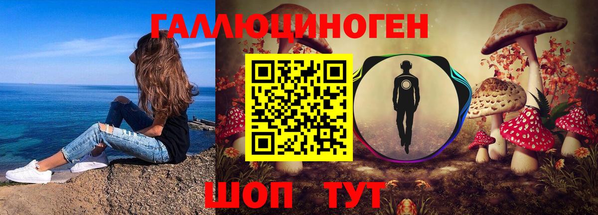 Жуковский  Галлюциногенные грибы Psilocybe  магазин    Вход с VPN 